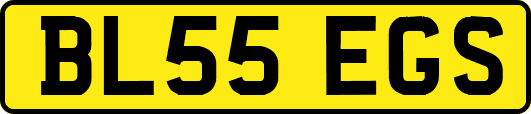 BL55EGS