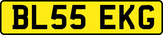 BL55EKG