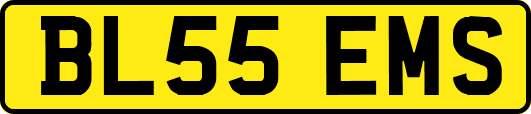 BL55EMS