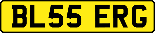 BL55ERG