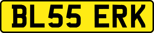 BL55ERK