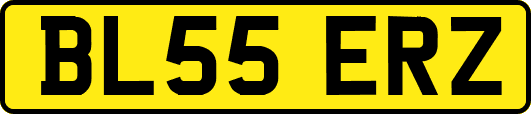 BL55ERZ