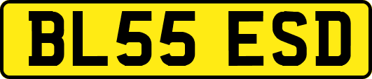 BL55ESD