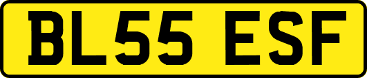 BL55ESF