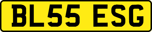 BL55ESG