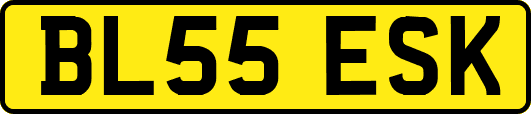 BL55ESK