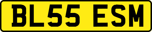 BL55ESM