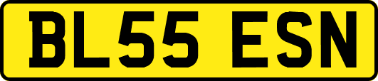 BL55ESN