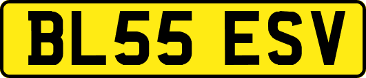 BL55ESV
