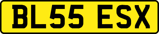 BL55ESX
