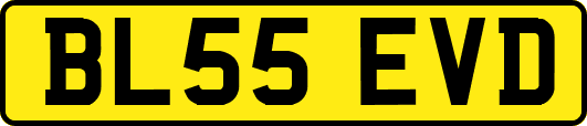 BL55EVD