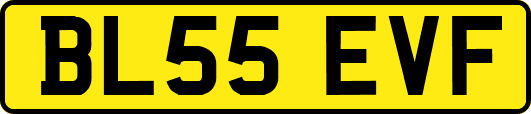 BL55EVF