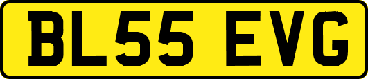 BL55EVG