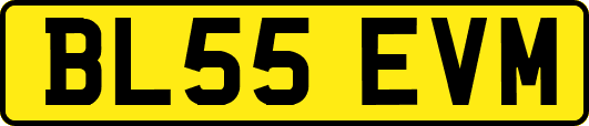 BL55EVM