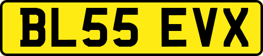 BL55EVX
