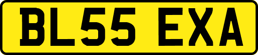 BL55EXA