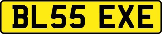 BL55EXE