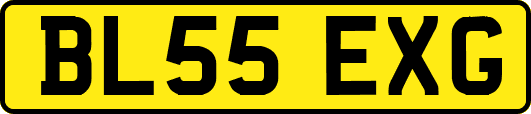 BL55EXG