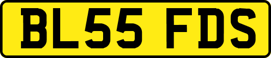 BL55FDS