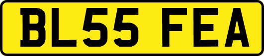 BL55FEA
