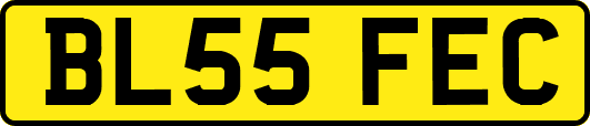 BL55FEC