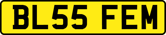 BL55FEM