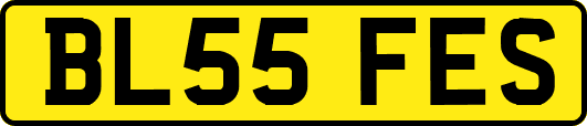 BL55FES