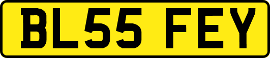 BL55FEY