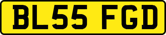 BL55FGD