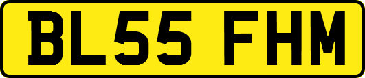 BL55FHM