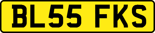 BL55FKS