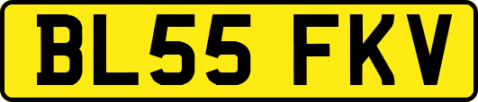 BL55FKV