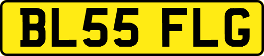 BL55FLG