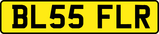 BL55FLR