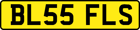 BL55FLS