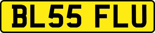 BL55FLU