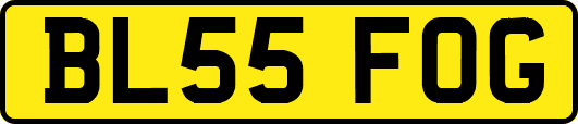 BL55FOG
