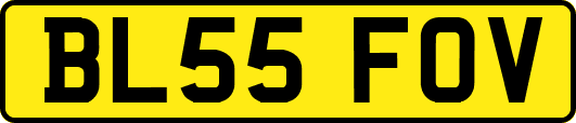 BL55FOV