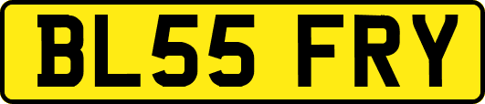 BL55FRY
