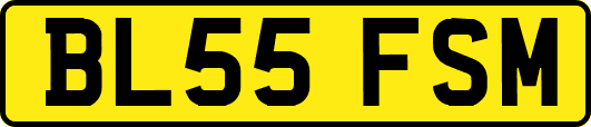 BL55FSM