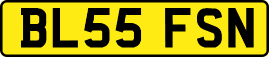 BL55FSN