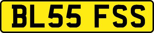 BL55FSS