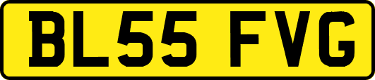 BL55FVG