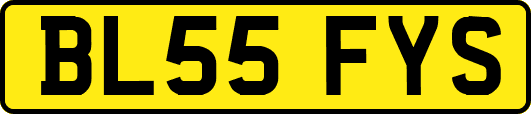 BL55FYS