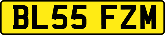 BL55FZM