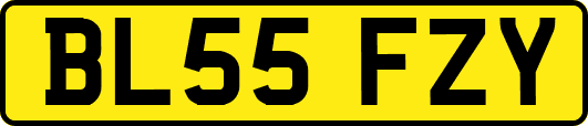 BL55FZY