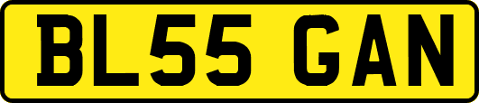 BL55GAN