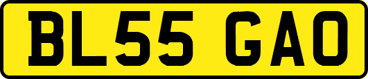 BL55GAO