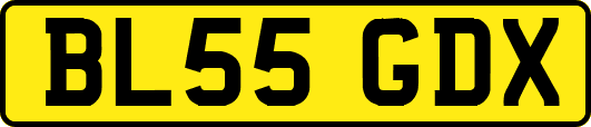BL55GDX