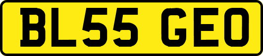 BL55GEO